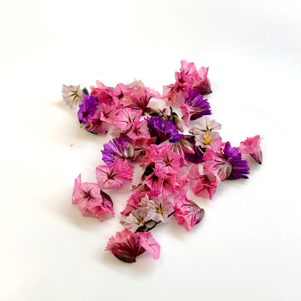 tw-11134207-7qukw-lgvoxmwsy3os75