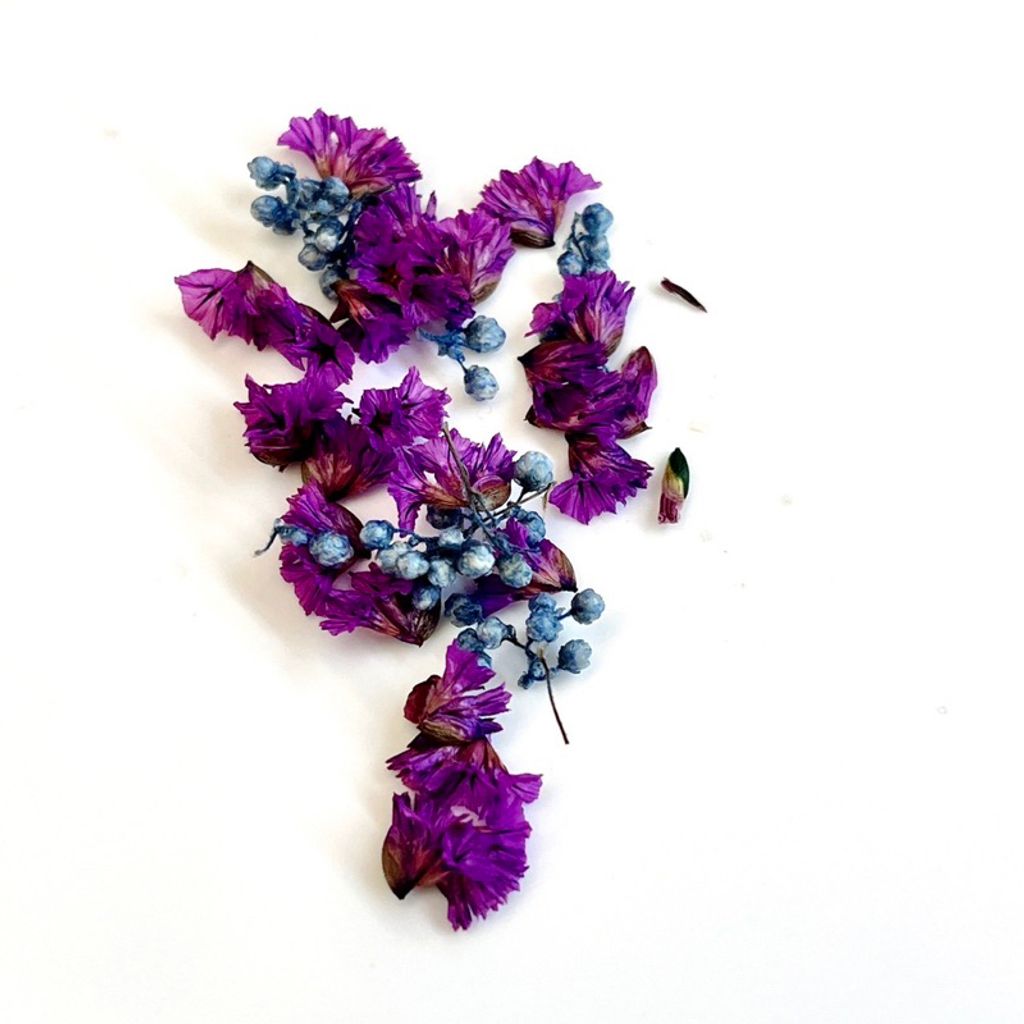 tw-11134207-7qul1-lgvoxmwtdjxod0