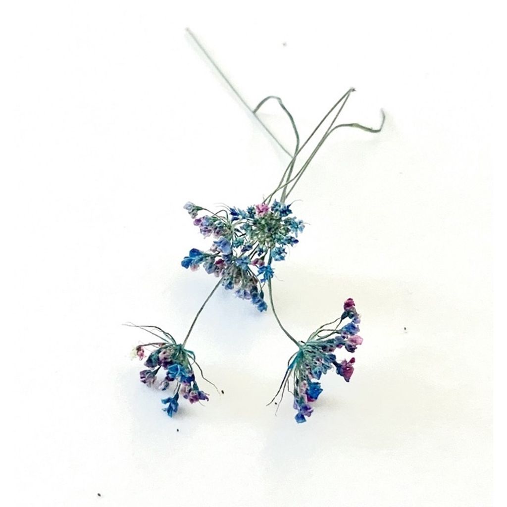 tw-11134201-23030-ckj09hzsa0nv8a