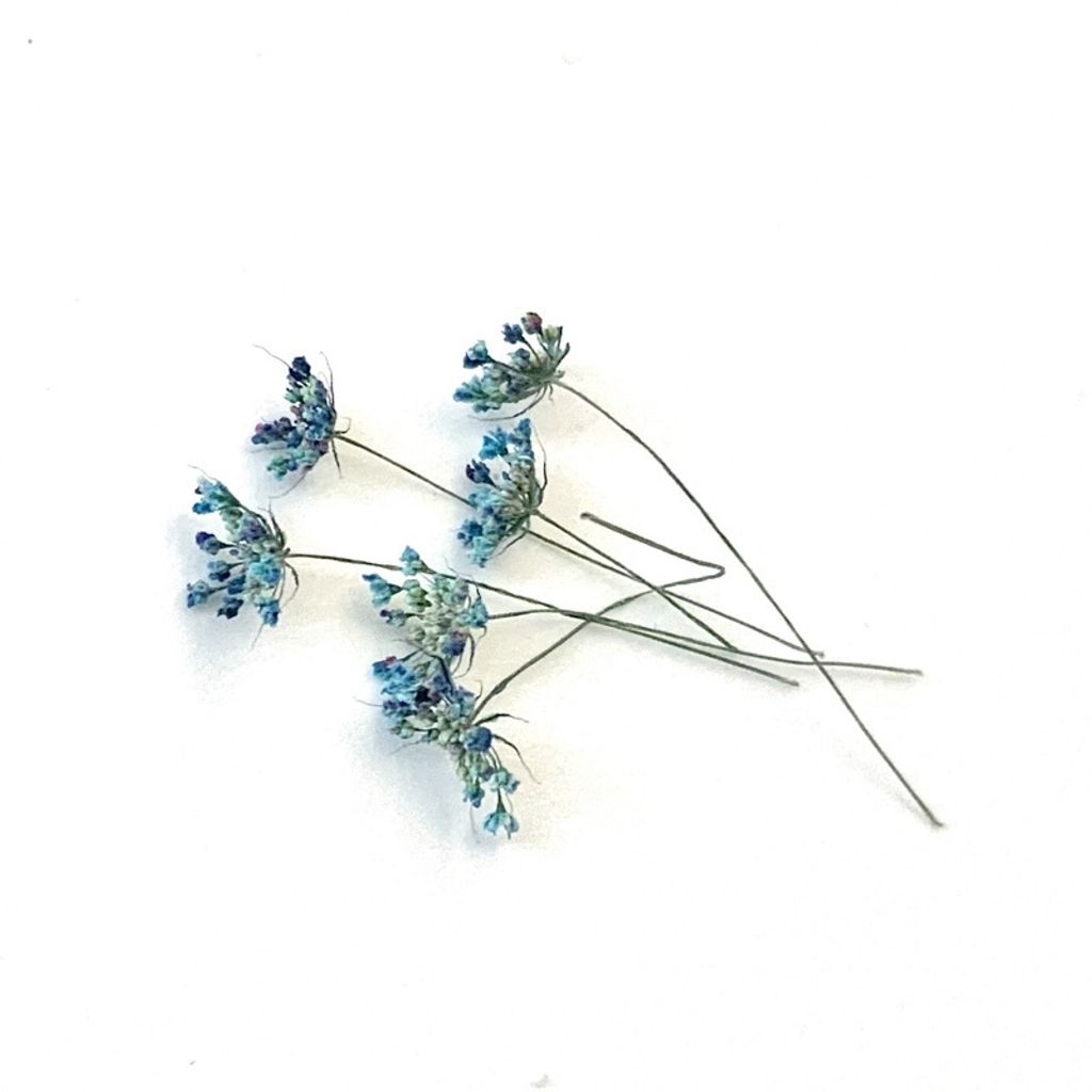 tw-11134201-23030-alk1r7wta0nv69