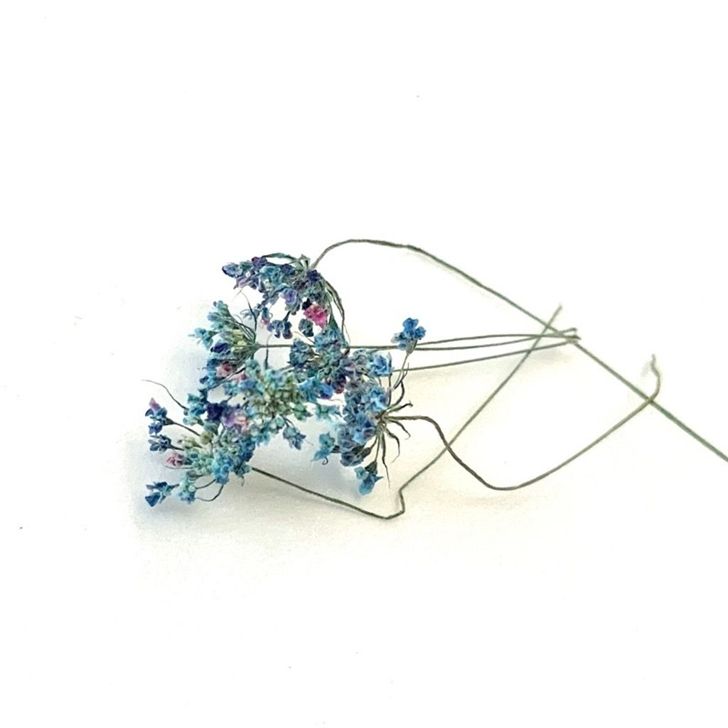 tw-11134201-23030-qxcvd44ta0nv76