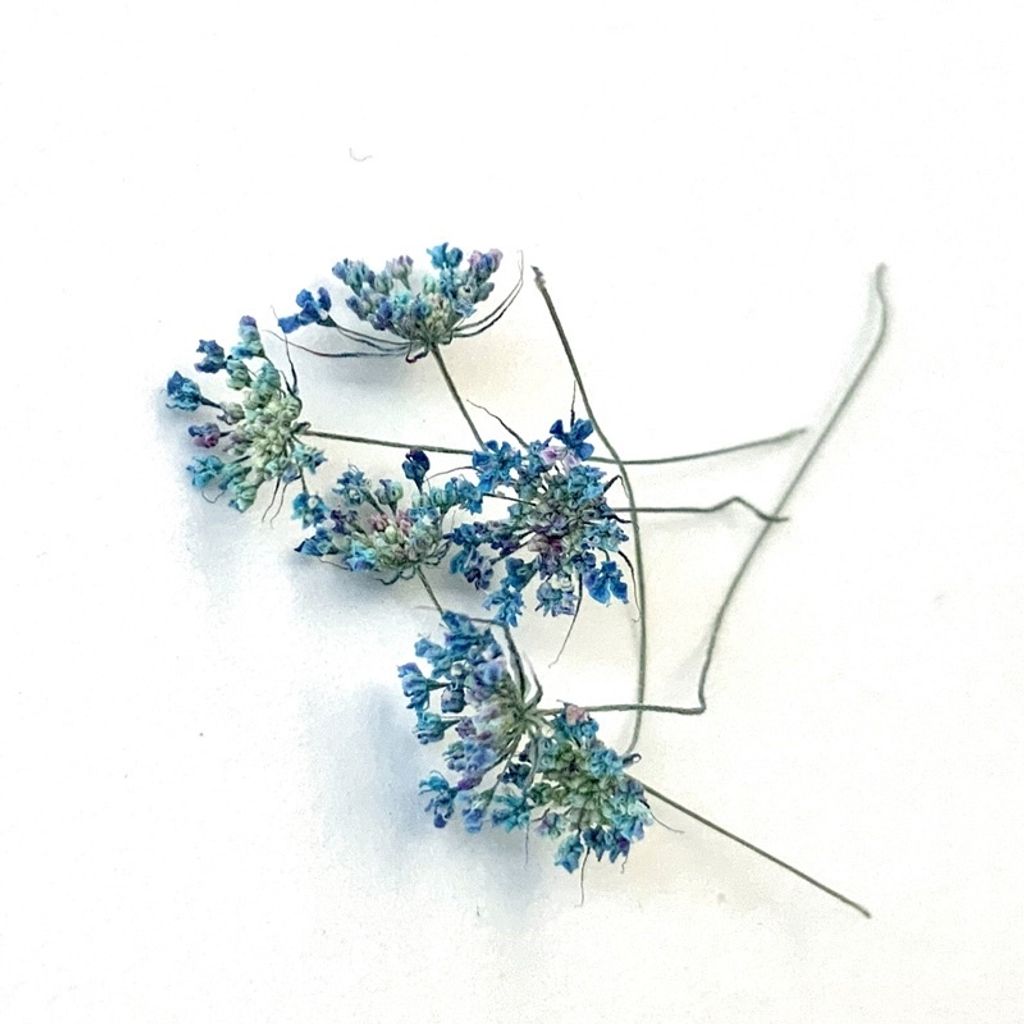 tw-11134201-23030-i4b9wz0ta0nvef