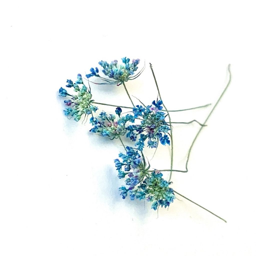 tw-11134201-23030-q06lflgua0nvfa