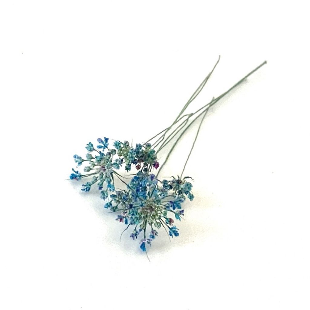 tw-11134201-23030-e9clajowa0nv68