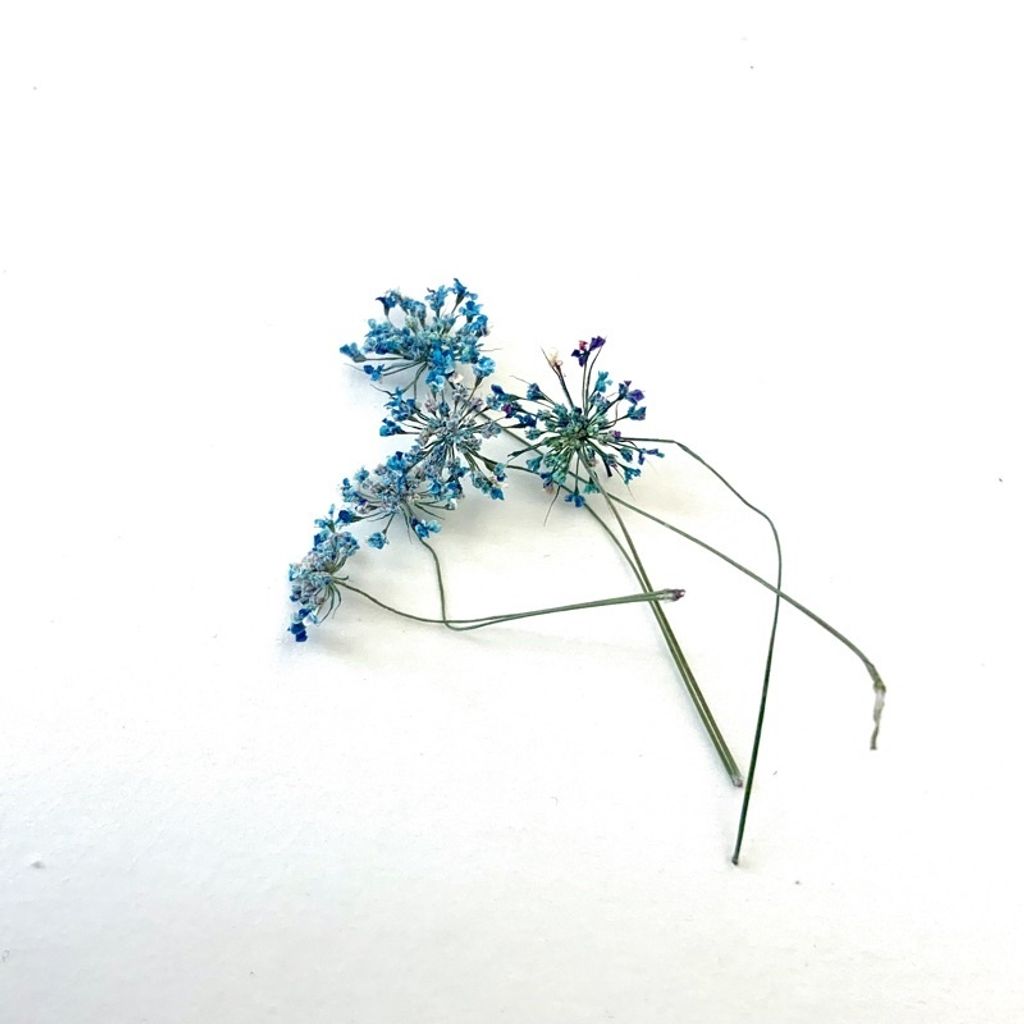 tw-11134201-23030-s9kzqb4wa0nv76