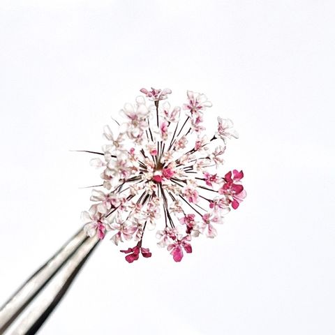 tw-11134201-23030-kiz7udmoa0nvf5