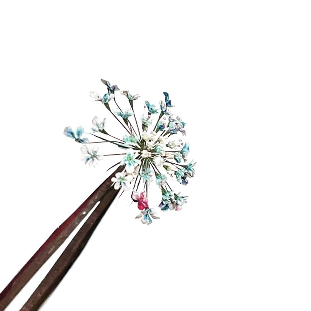 tw-11134201-23030-ucrjb13na0nv8a