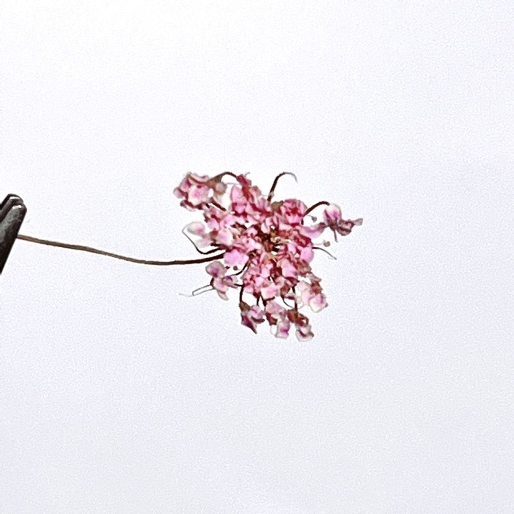 tw-11134201-23030-q6y2v6moa0nv10