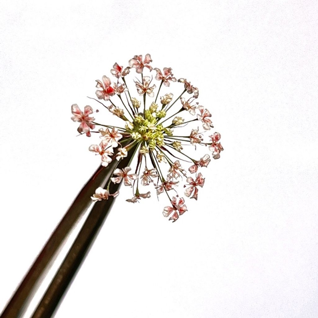 tw-11134201-23030-yr0y5imoa0nv2a