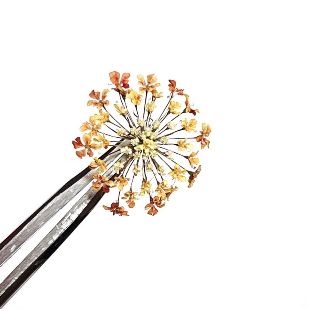 tw-11134201-23030-cou54saoa0nvaf