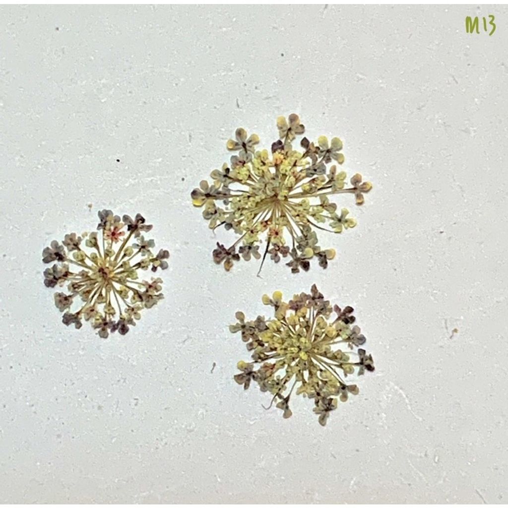 tw-11134201-23030-37vb9utg6iovc8