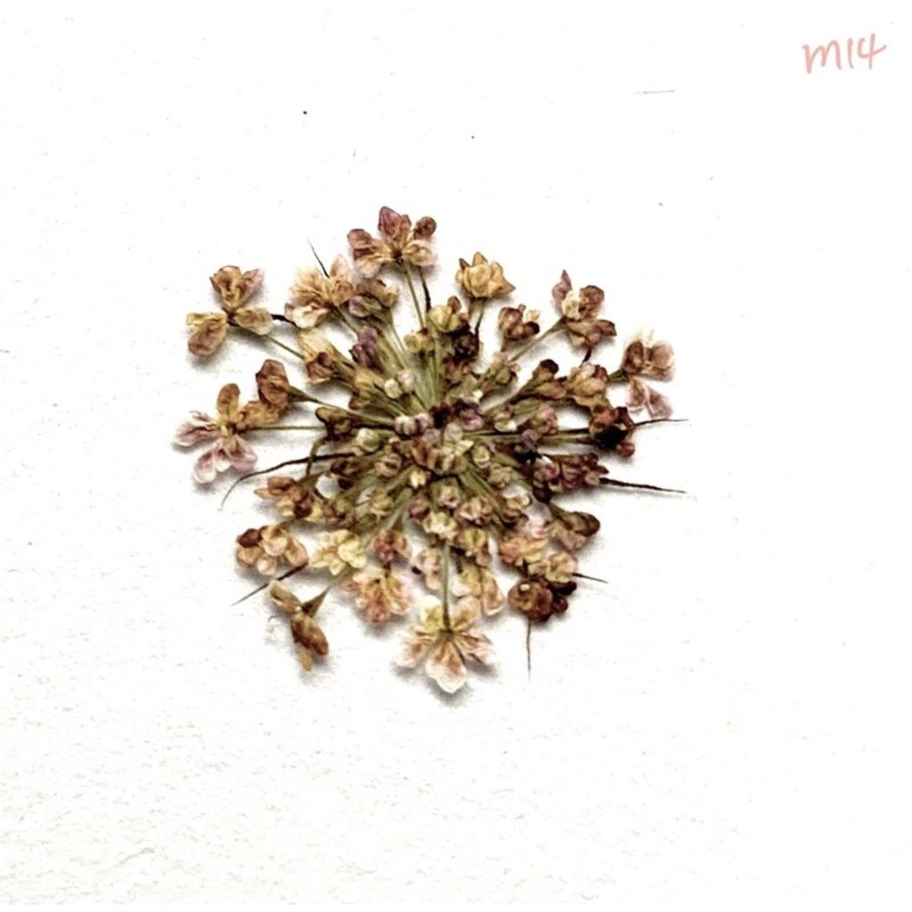 tw-11134201-23030-4cgj3j1g6iov97