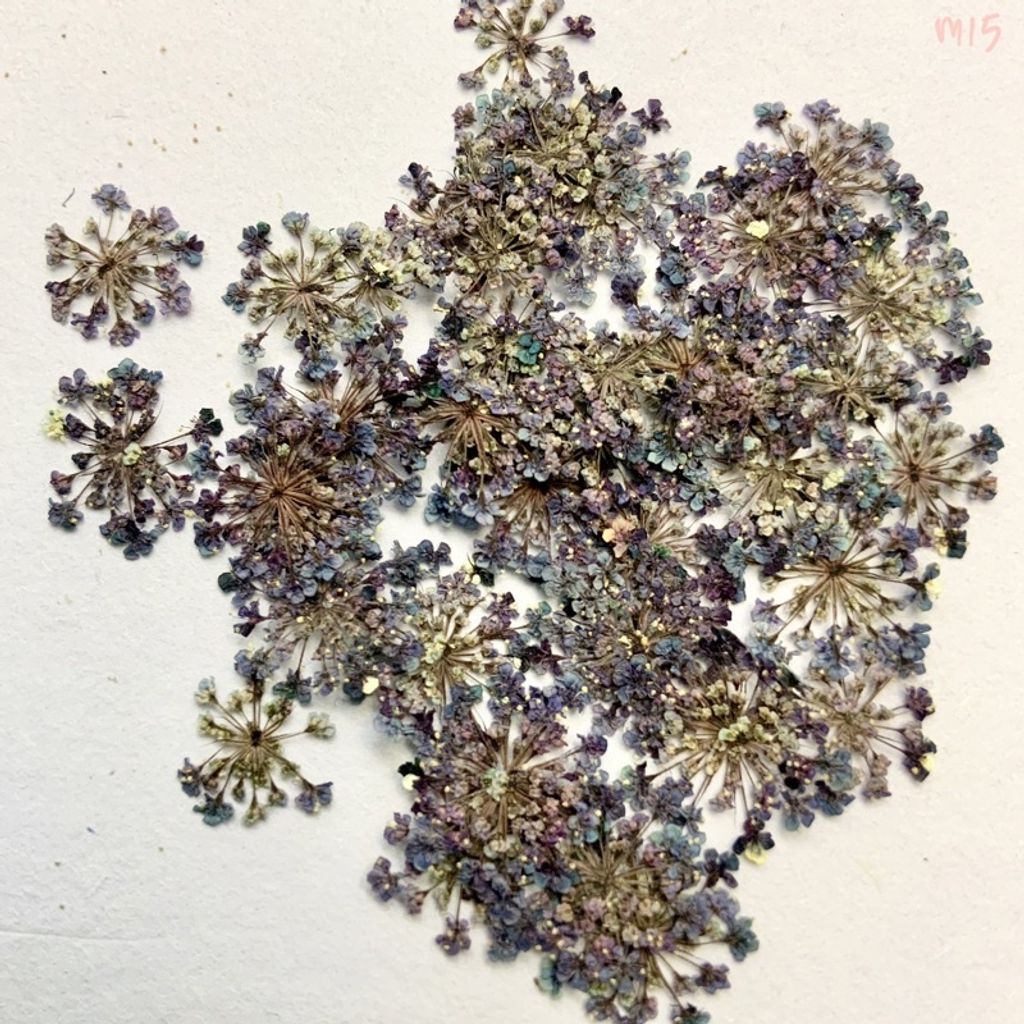 tw-11134201-23030-762ujbdh6iovb7