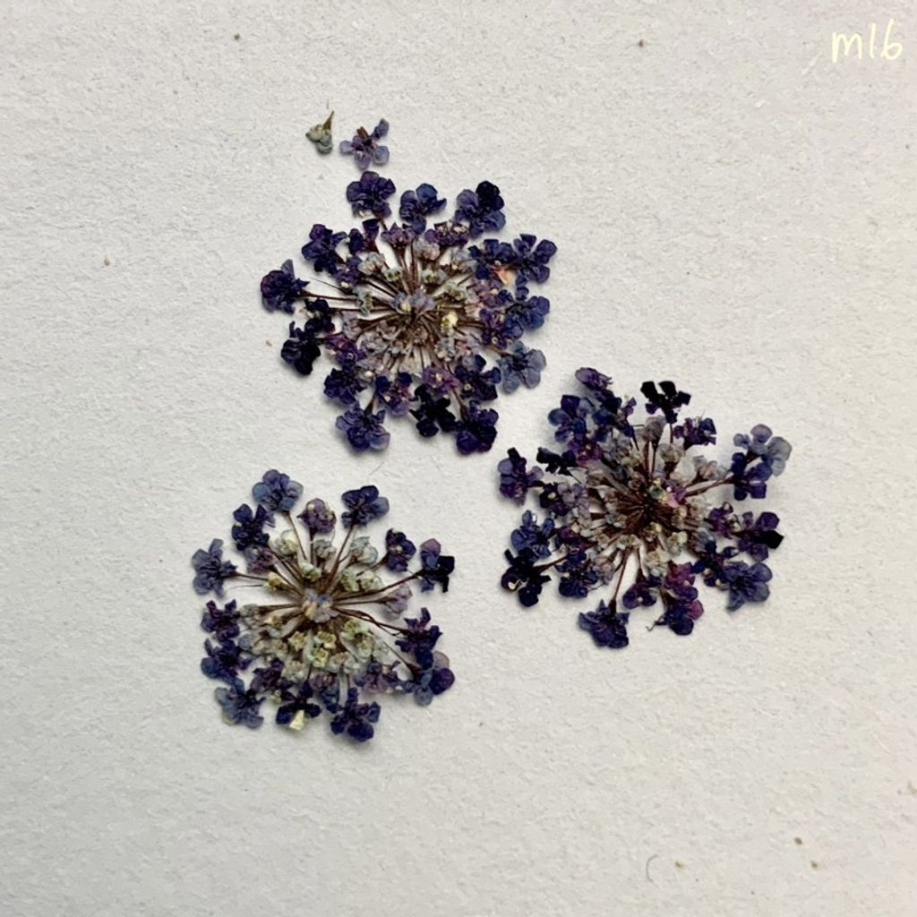 tw-11134201-23030-3eqo9ljh6iov76