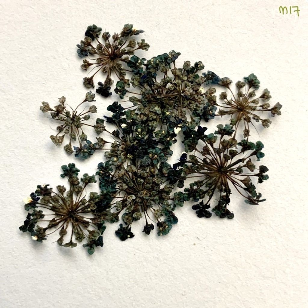 tw-11134201-23030-rj2m93oh6iov87