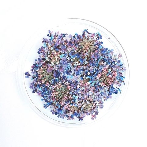 tw-11134201-23030-4coxyw0a6iove3