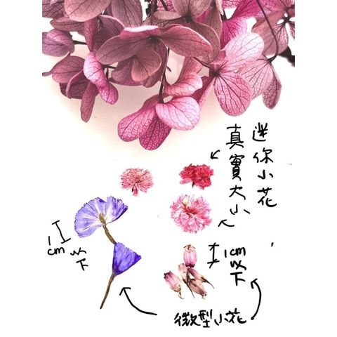 sg-11134201-22100-orboxu76qoiv3c