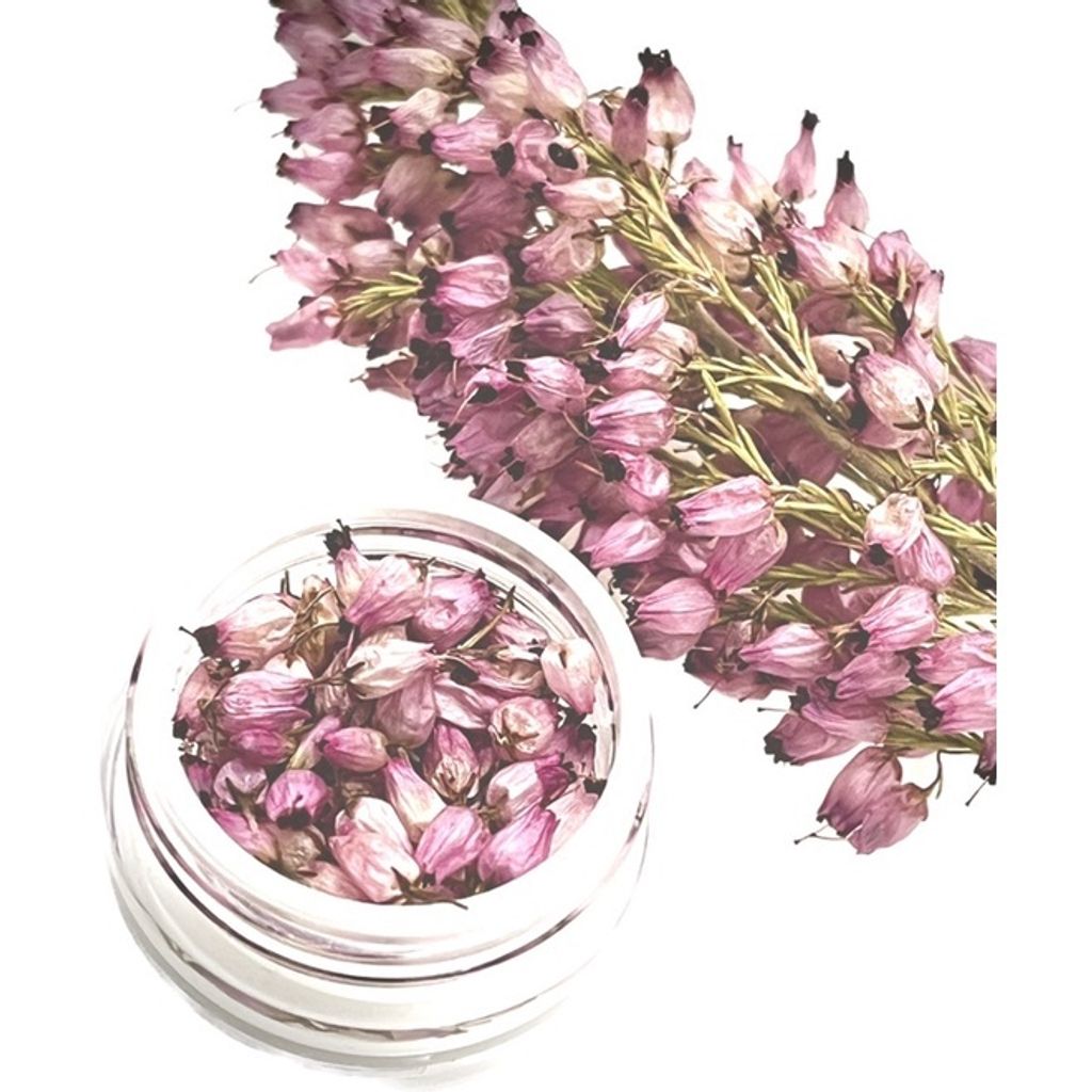 77cf4f2afc704b7b82bbc5f7c9bb2ae2