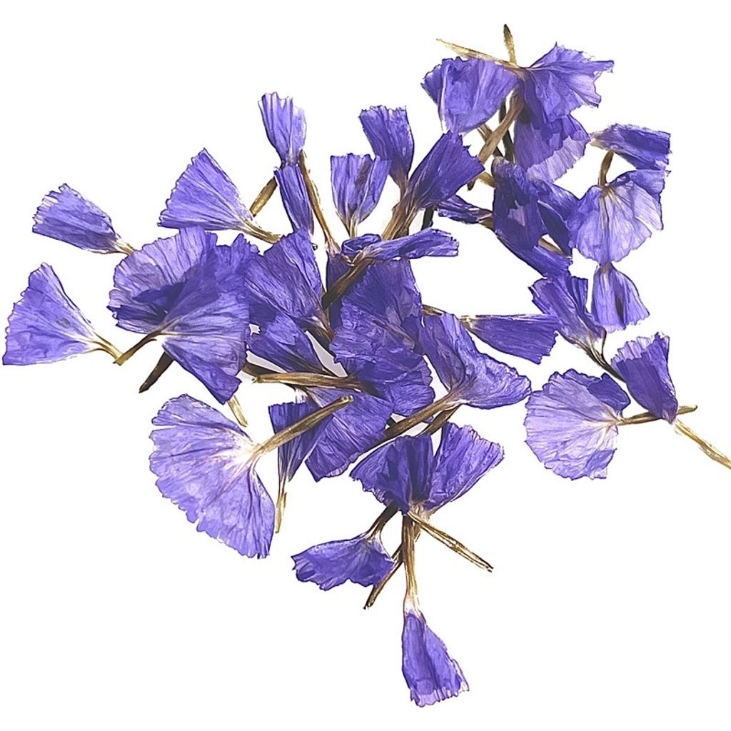 sg-11134201-22100-dehimz99qoiv11