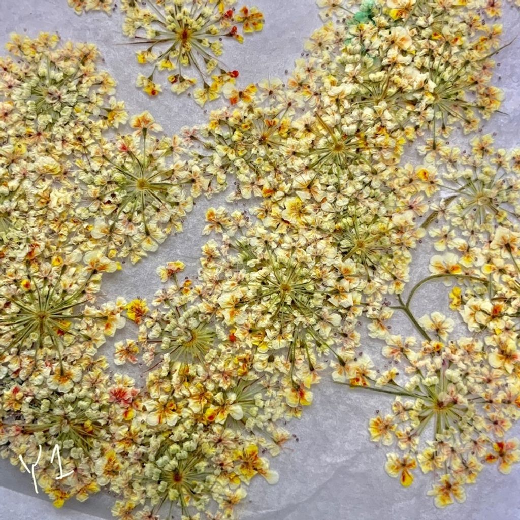 tw-11134201-23030-4958eg46lkov23