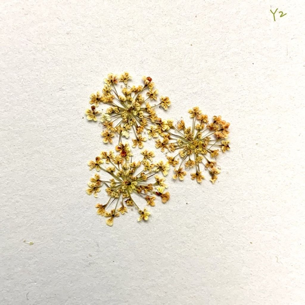 tw-11134201-23030-e1ens2b7lkovf2