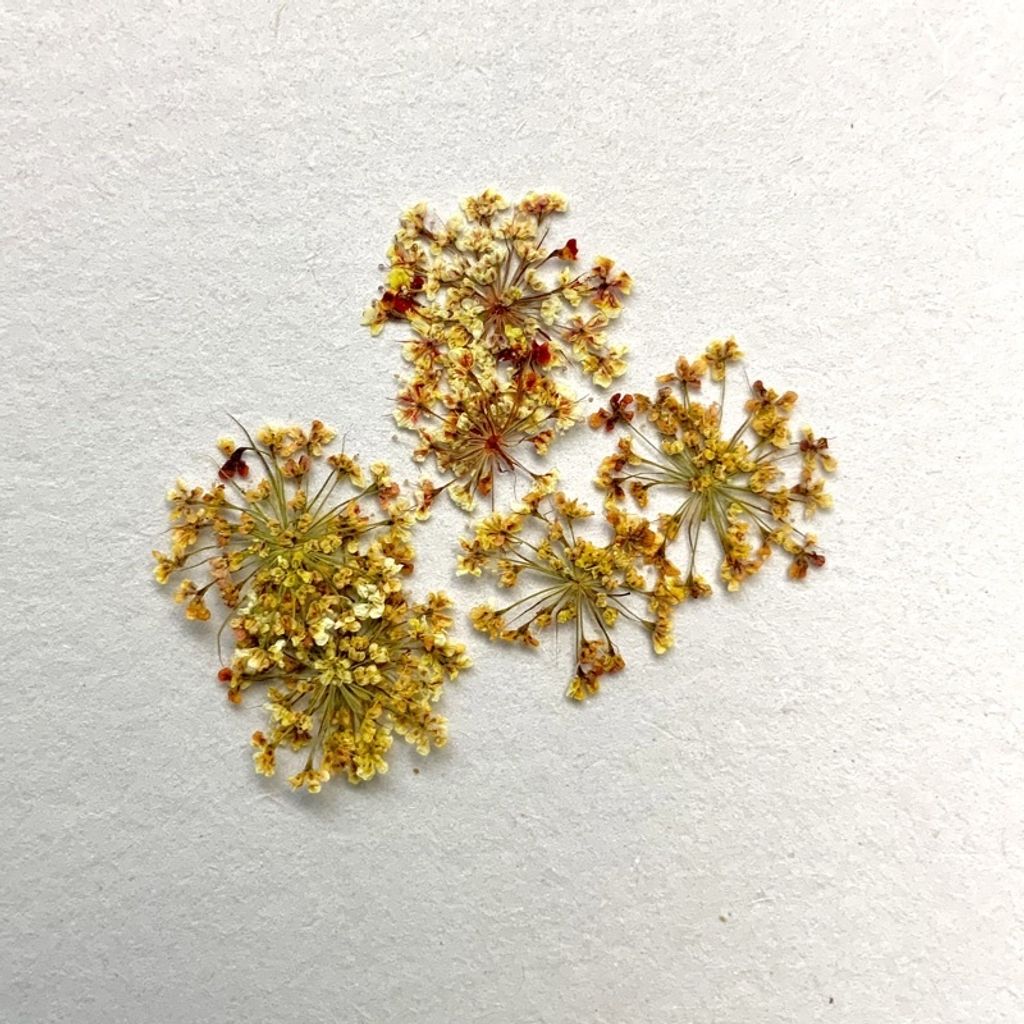 tw-11134201-23030-uo1g7tp7lkov71