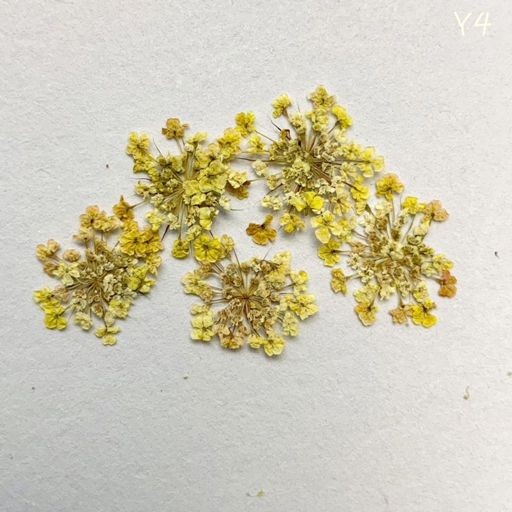 tw-11134201-23030-u1tj01z7lkovcf