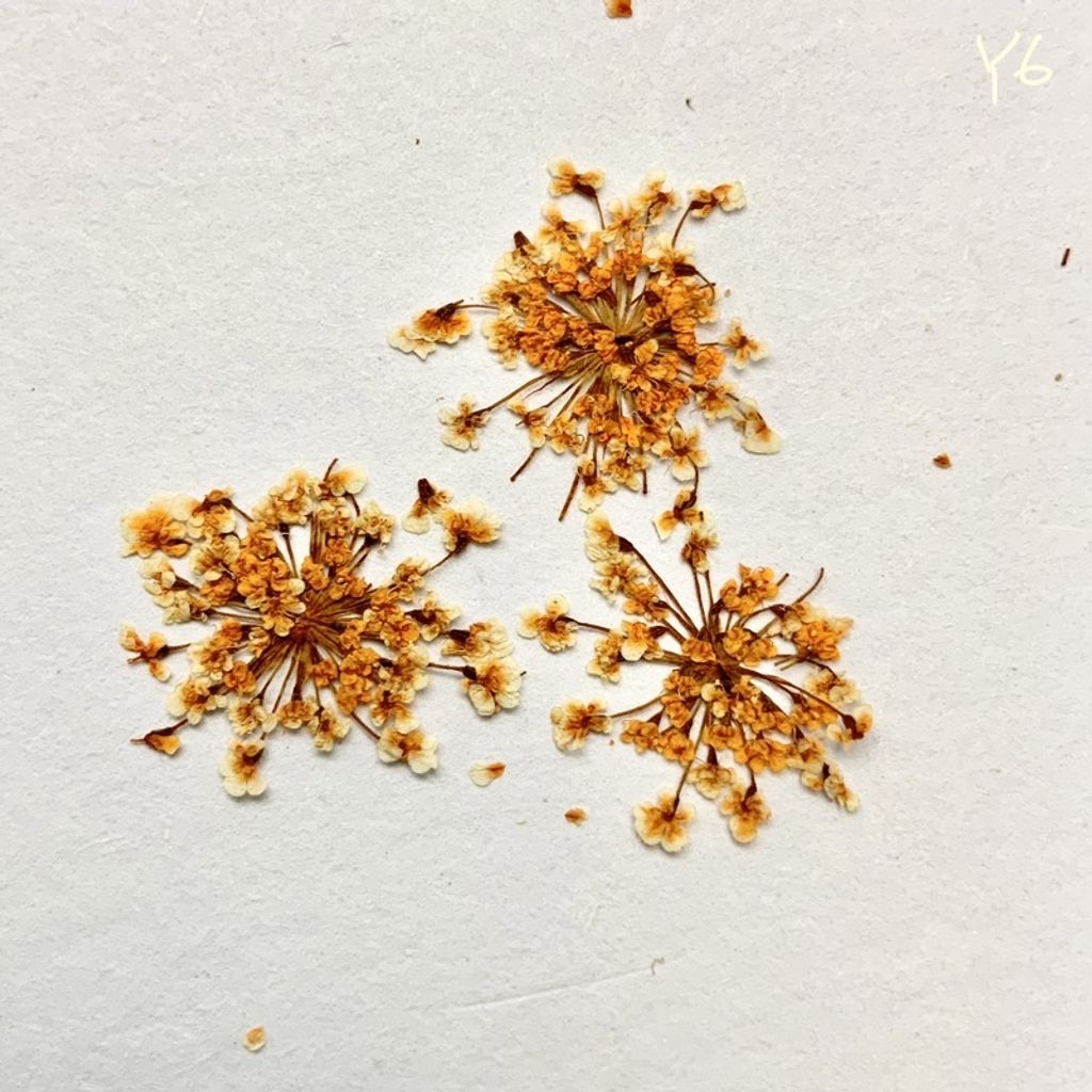 tw-11134201-23030-bza18qe8lkov34