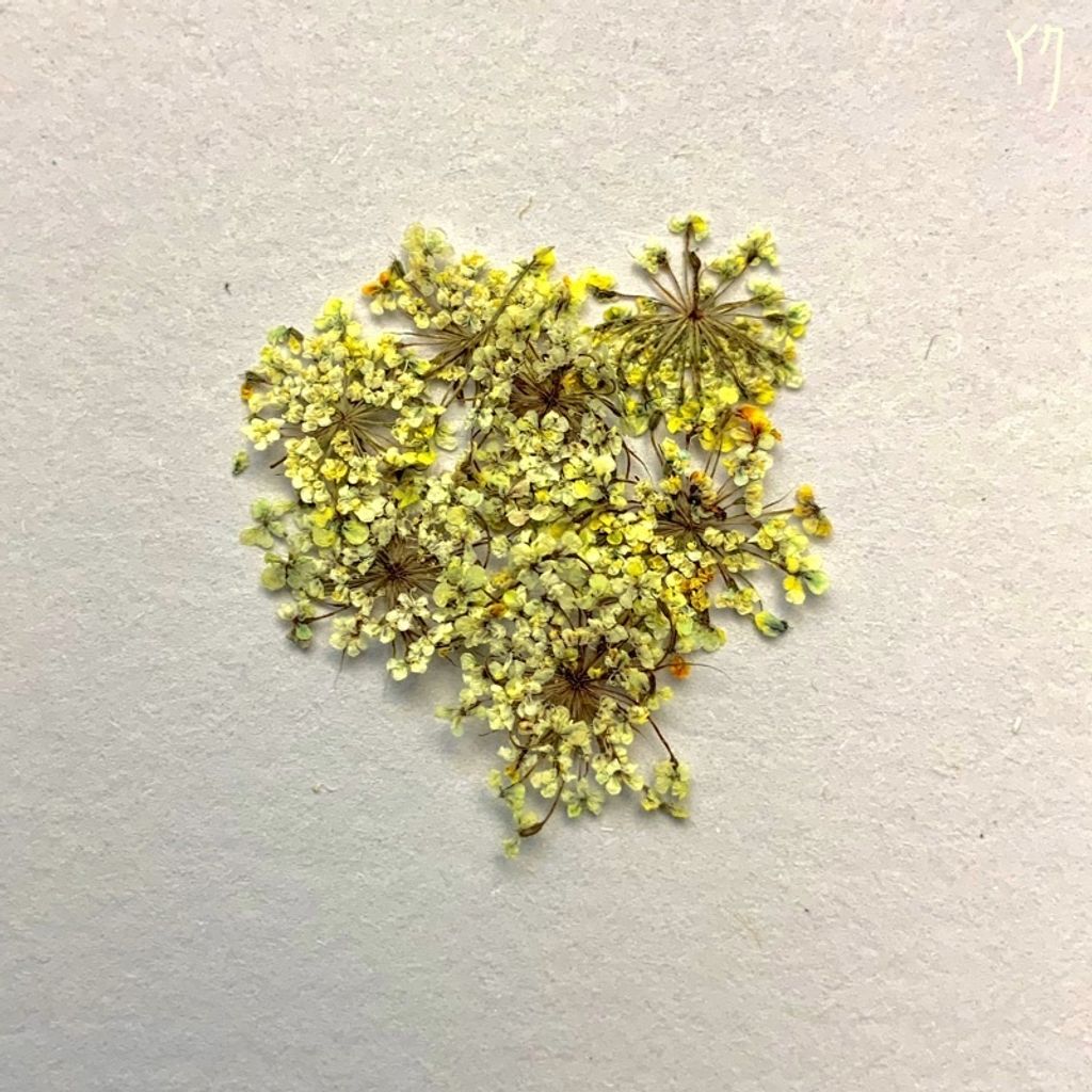 tw-11134201-23030-brsgy0k8lkov1e