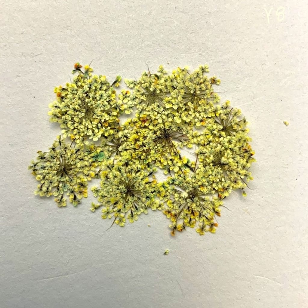 tw-11134201-23030-rjx8teb9lkov4b