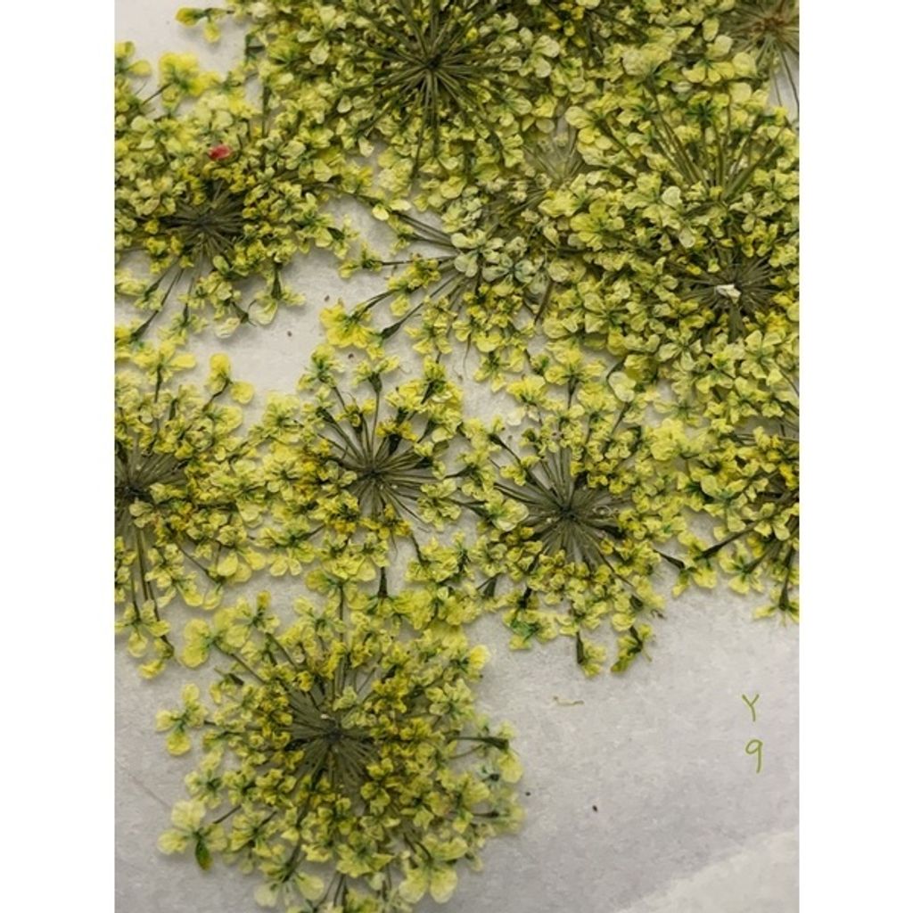 tw-11134201-23030-7lagq7l9lkov70