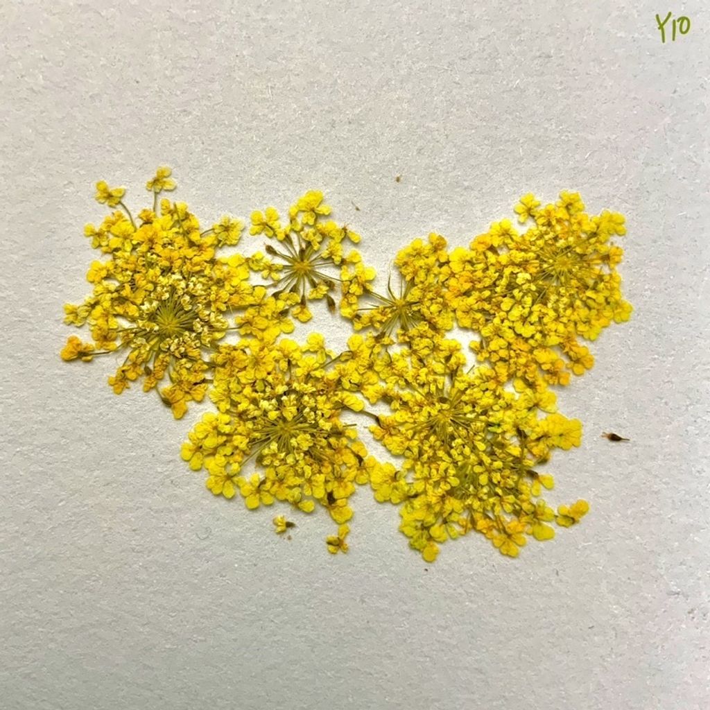 tw-11134201-23030-va0h9go4lkov2a