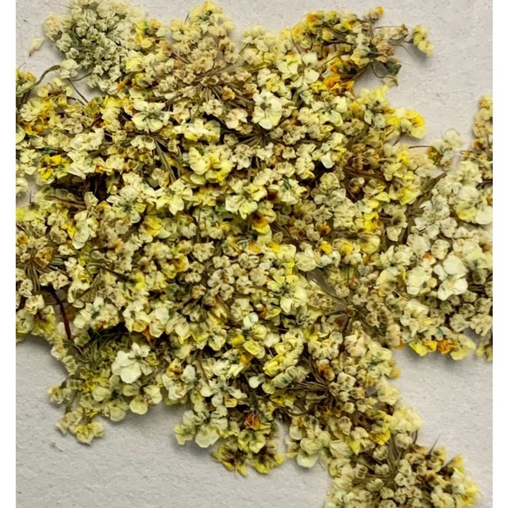 tw-11134201-23030-4wniygo4lkov34