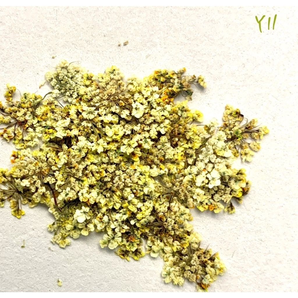 tw-11134201-23030-mmtfwio4lkov1d