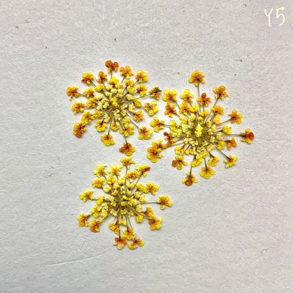 tw-11134201-23030-egbnqeo4lkov63