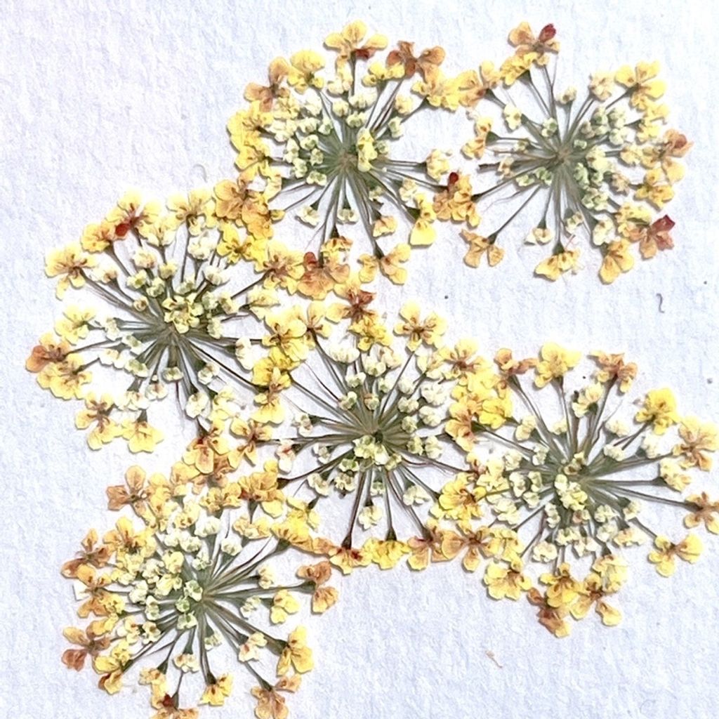 tw-11134201-23030-3umgcio4lkovad