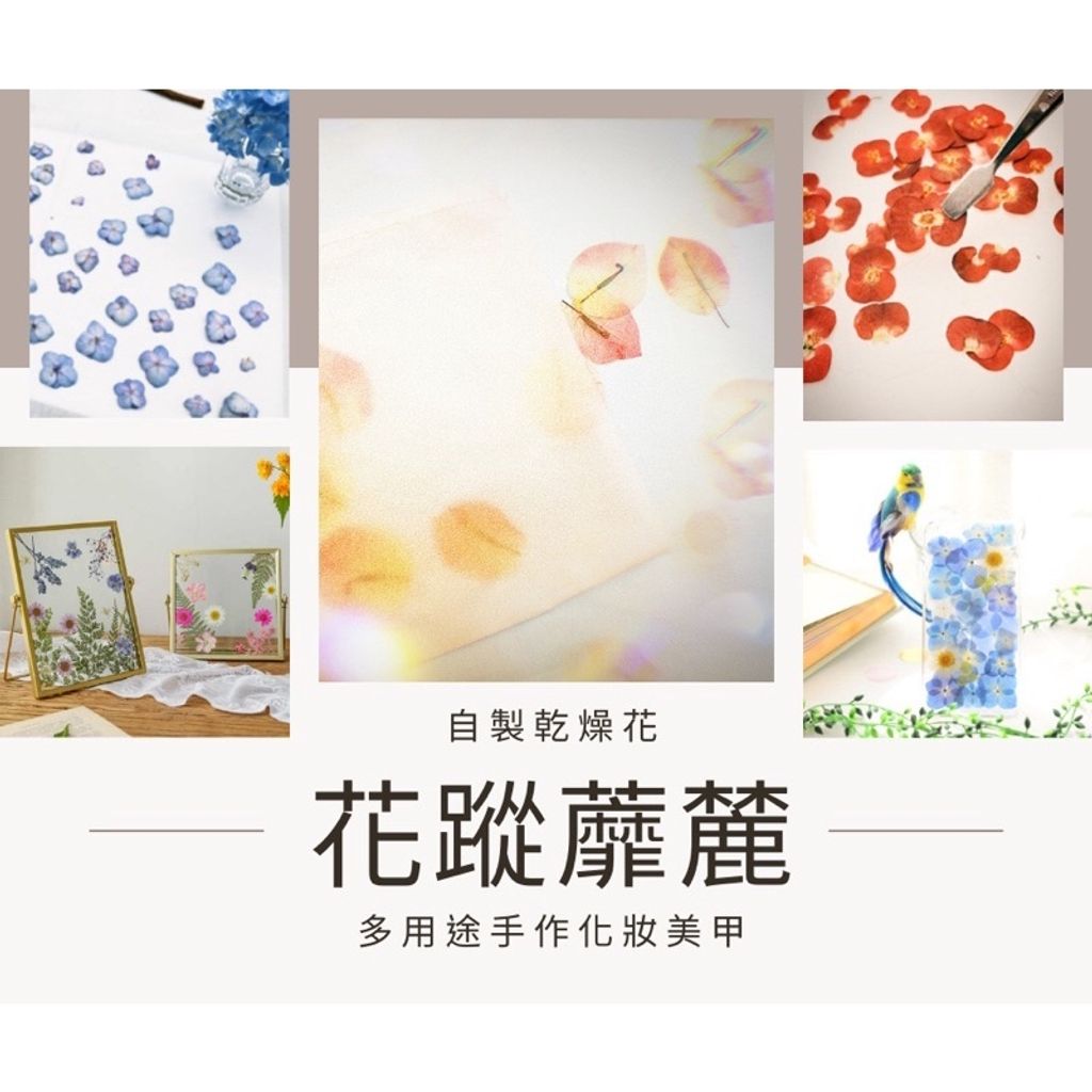 5c7a8ed43b88ac7b3099d55711b52f5e