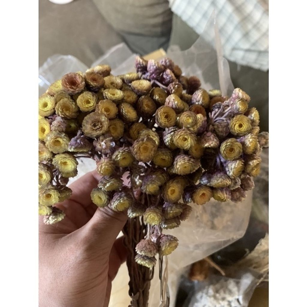 d6c3154936bbd45d622c2eaf5e367066