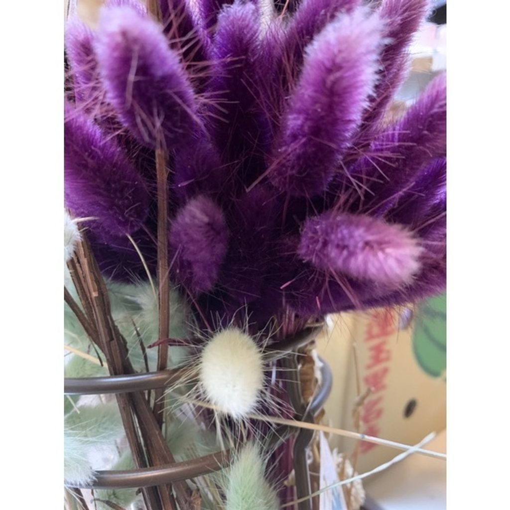 8624c5b984f0d59a71ca9b541f3d0098