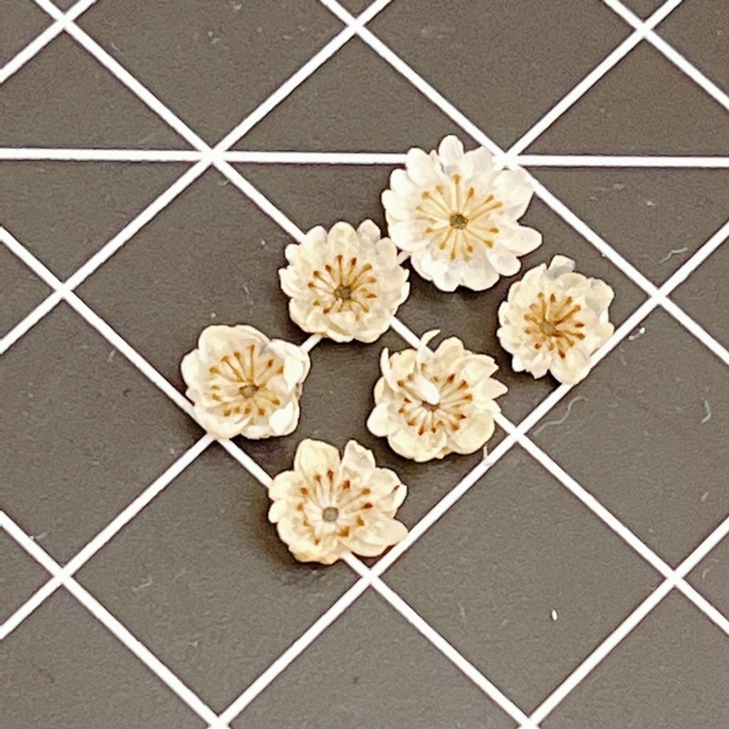 sg-11134201-23010-j2p9wdmmydmv0e