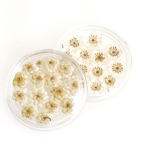 sg-11134201-23010-70kmy6jdydmv31