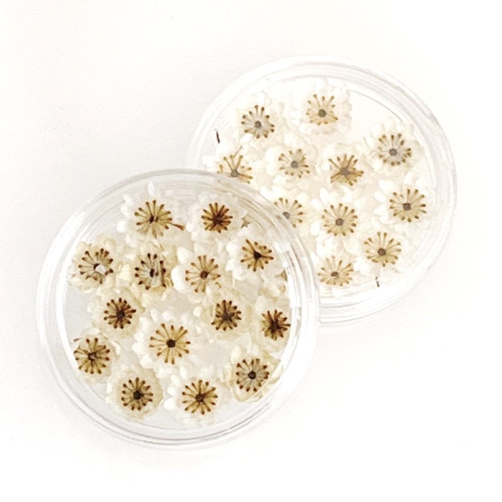 sg-11134201-23010-jdnq73jdydmv7d