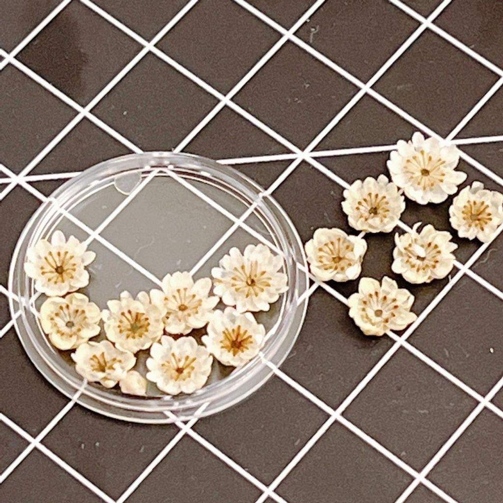 sg-11134201-23010-k5z0jekdydmvbc