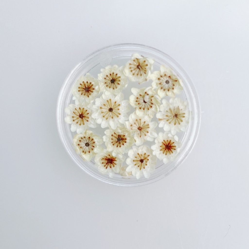 sg-11134201-23010-8dcj78jdydmv3c