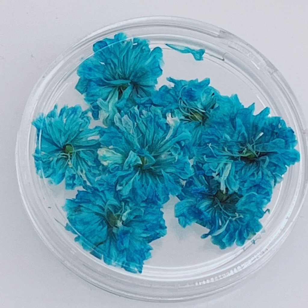 sg-11134201-23010-ctuizzdu8rmvcd