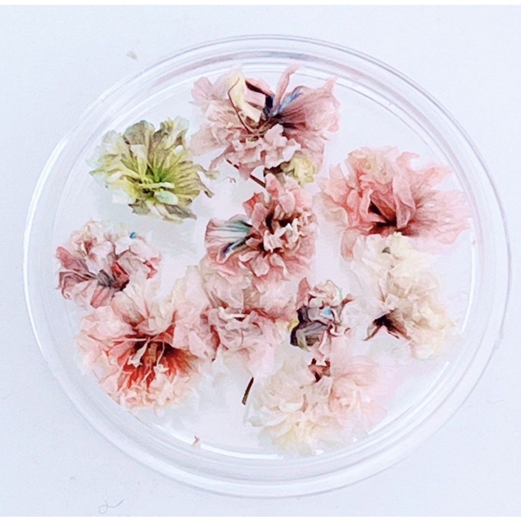 sg-11134201-23010-cktgd2du8rmv21