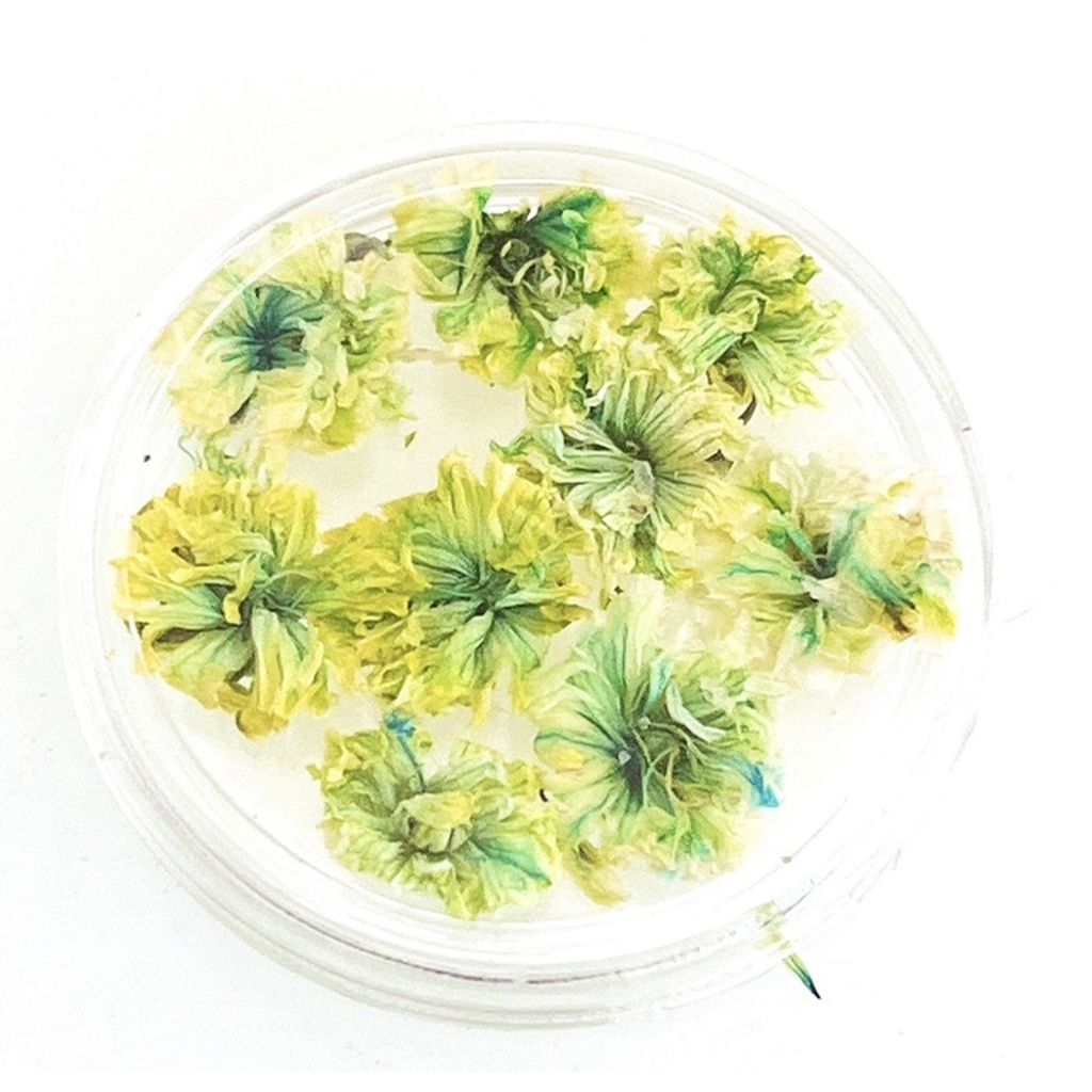 sg-11134201-23010-xj3kfzdu8rmvbe