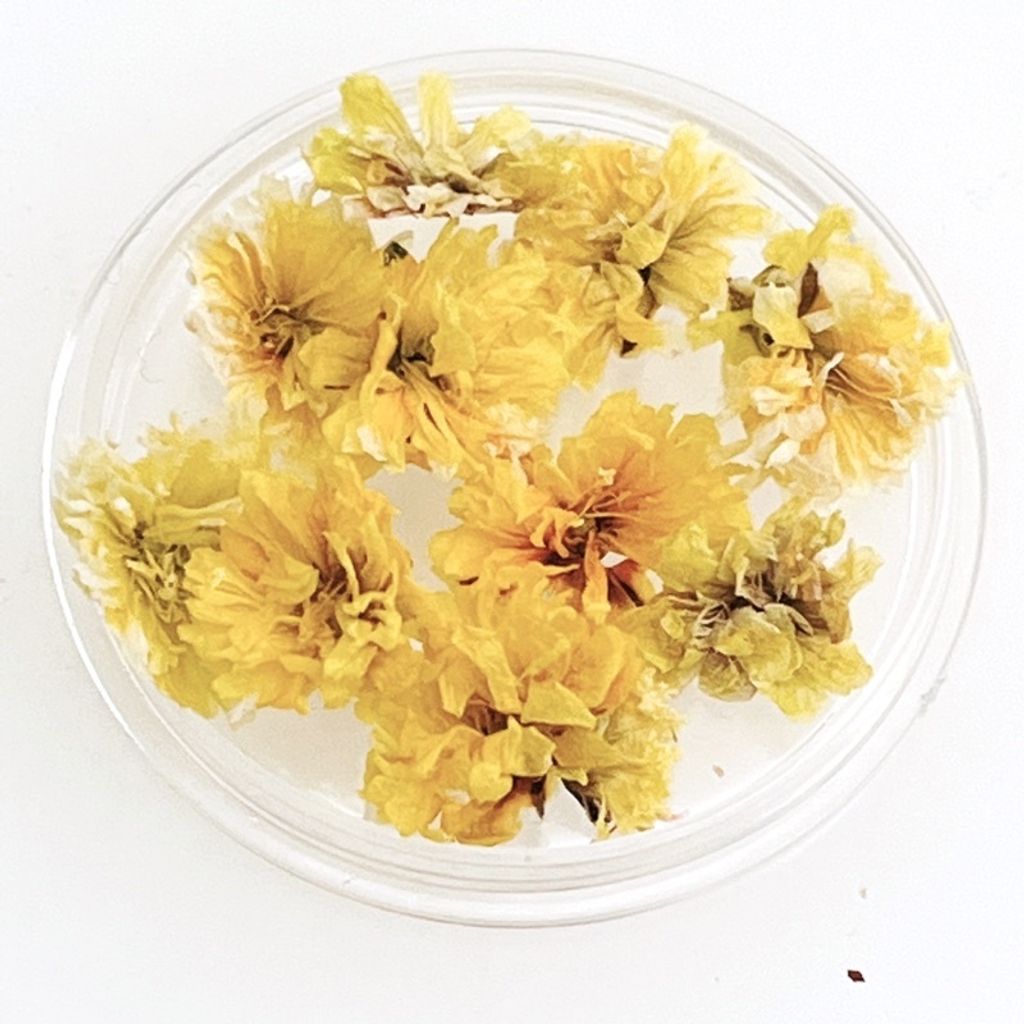 sg-11134201-23010-72egn2du8rmv27