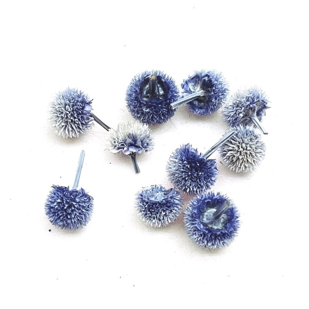 tw-11134201-23020-9wufyoai1znv14