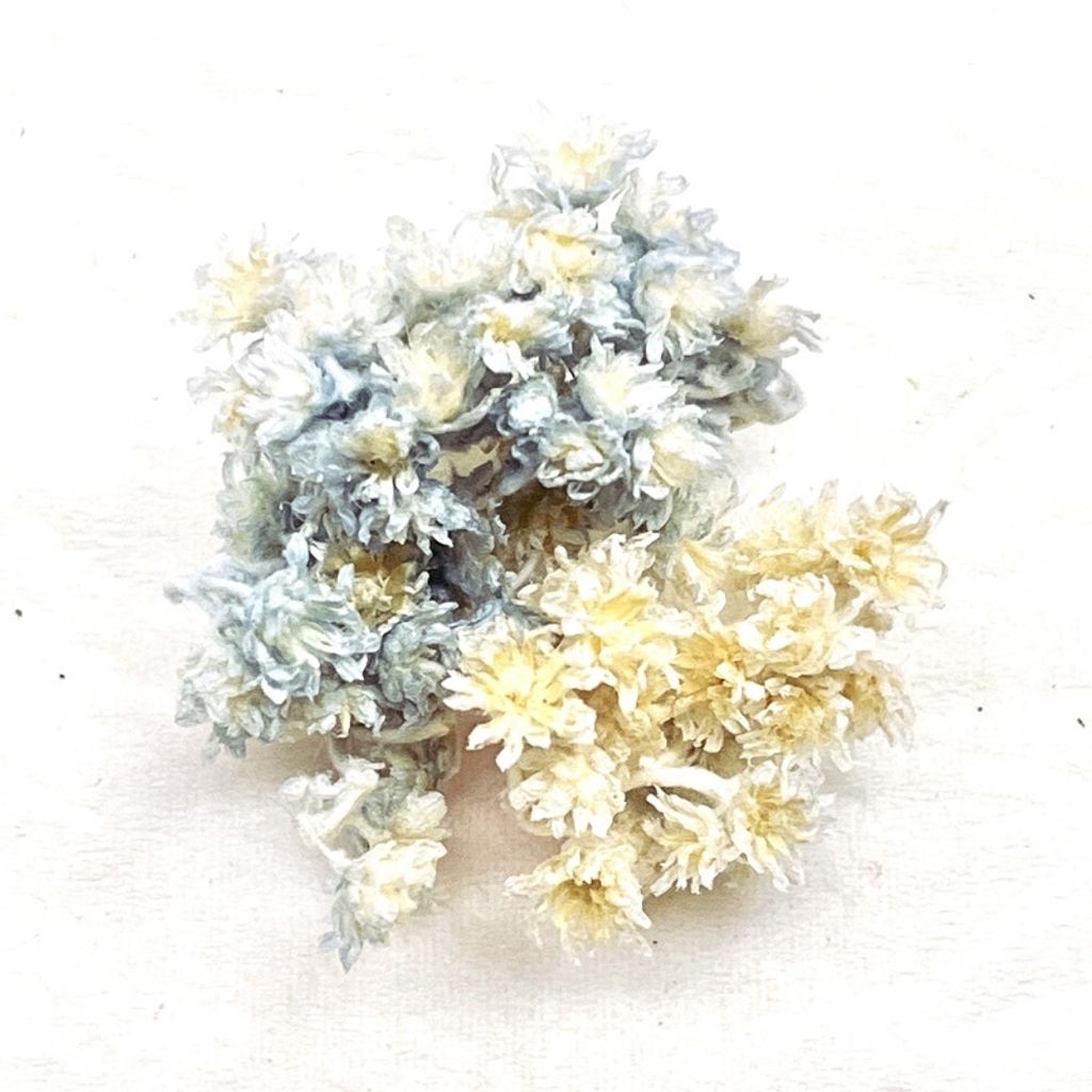 tw-11134201-23020-52rt2xhi1znv16